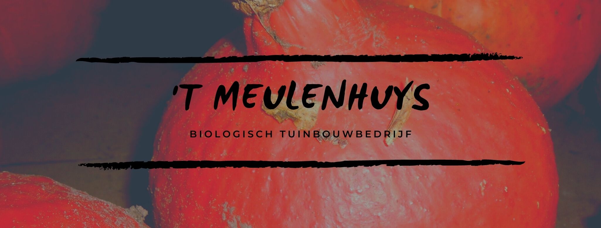 Seizoensgroenten van 't Meulenhuys